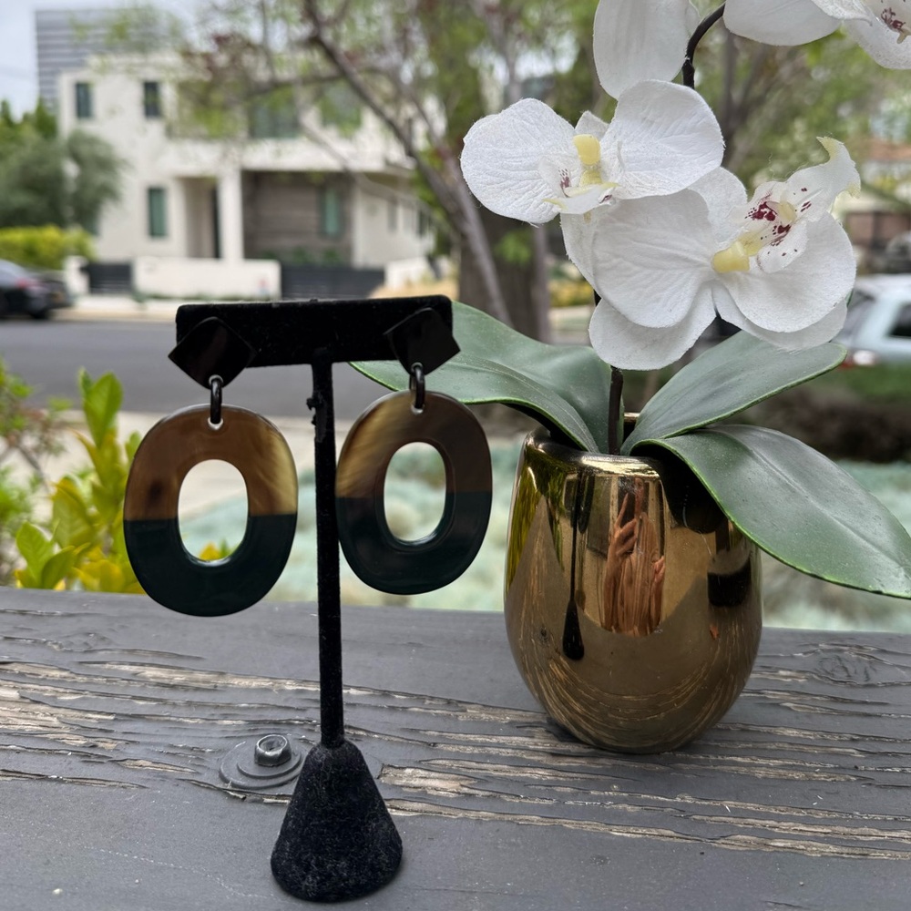 Clay and brown buffalo horn lacquer earrings